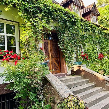 Zamkowa 4 Hotel Lubniewice Bagian luar foto