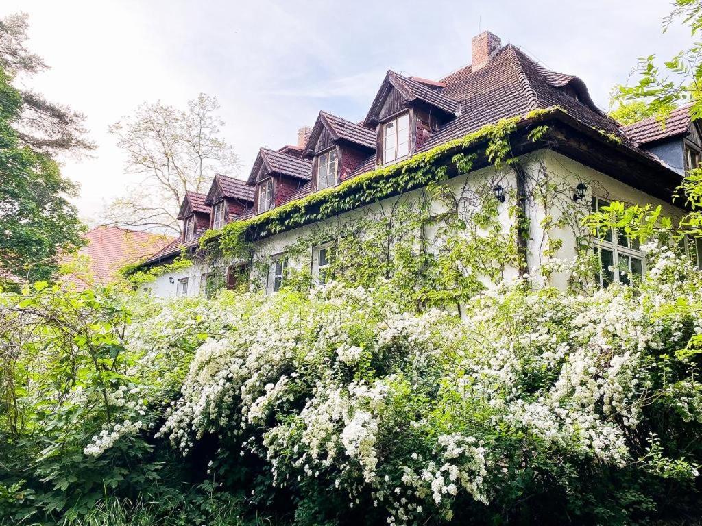 Zamkowa 4 Hotel Lubniewice Bagian luar foto