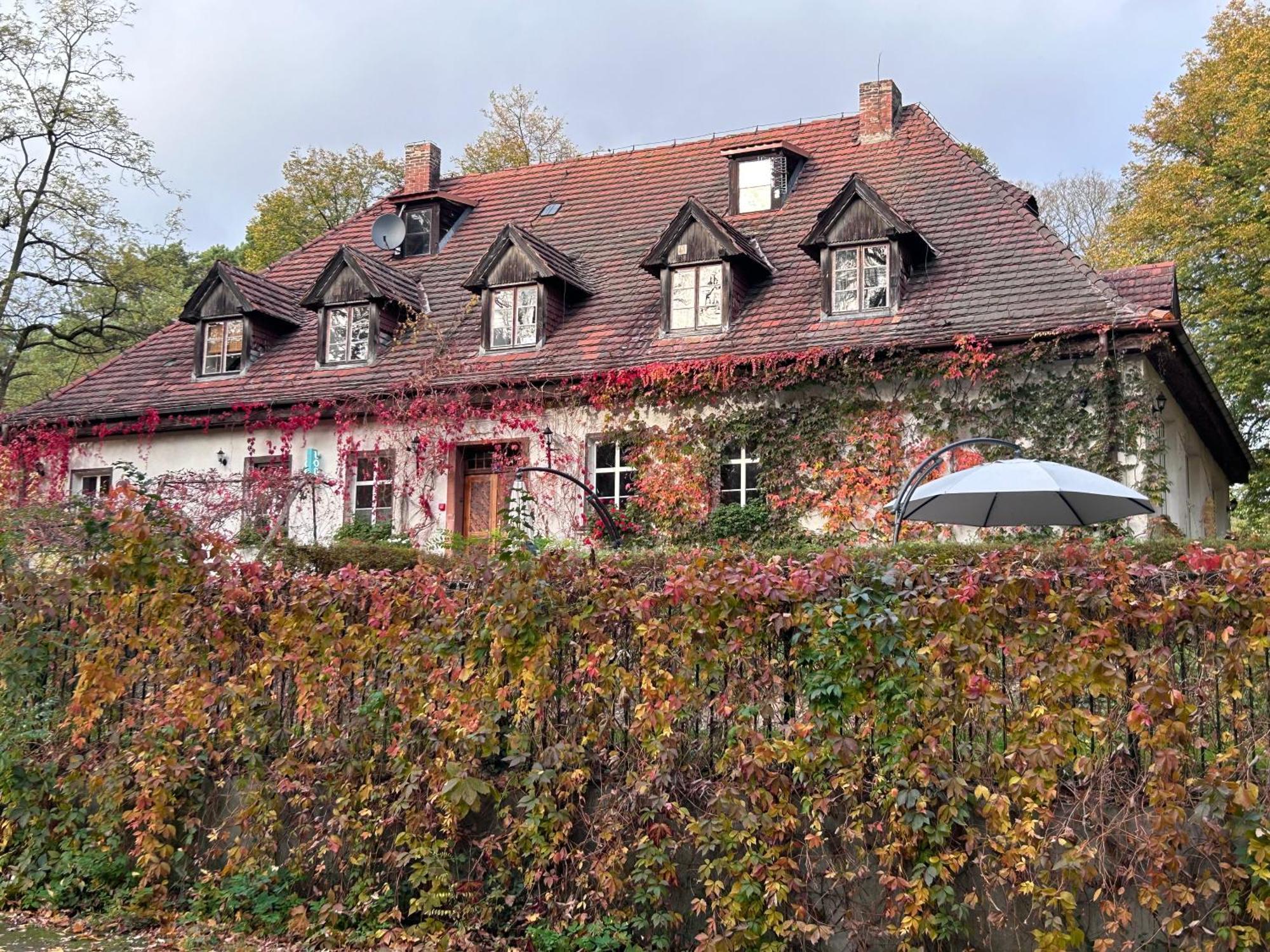 Zamkowa 4 Hotel Lubniewice Bagian luar foto